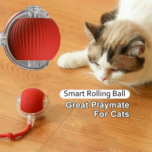 Automatic Spinning Cat Toy Ball | Interactive Rope Teaser for Cats & Dogs (SHIPPING INCLUDED)