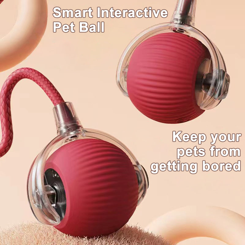 Automatic Spinning Cat Toy Ball | Interactive Rope Teaser for Cats & Dogs (SHIPPING INCLUDED)