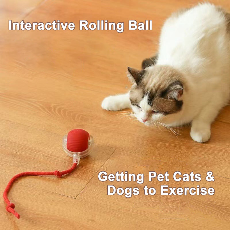 Automatic Spinning Cat Toy Ball | Interactive Rope Teaser for Cats & Dogs (SHIPPING INCLUDED)