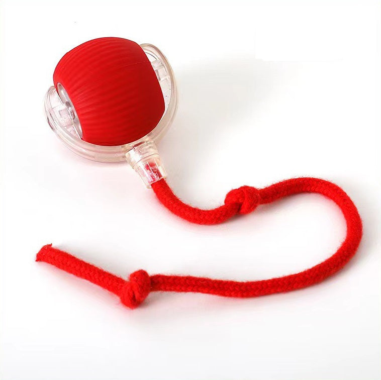 Cat Rope Ball Automatic Spinning Cat Toy Ball | Interactive Rope Teaser for Cats & D ...
